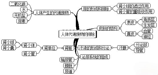 初中生物:七年级上册课本思维导图(暑期预习)