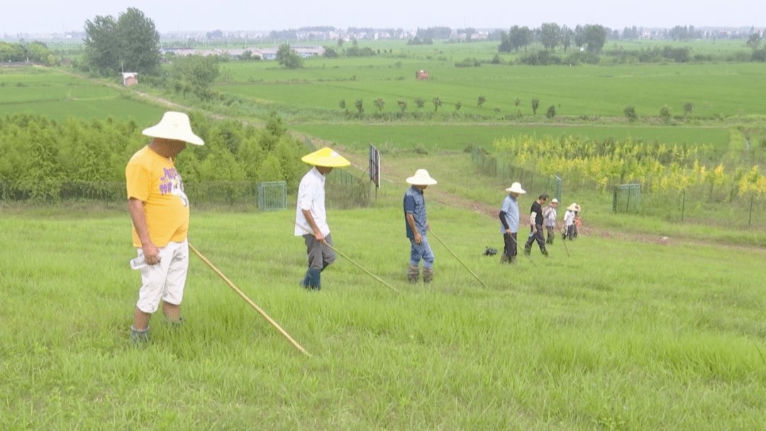 再上荆堤战洪峰