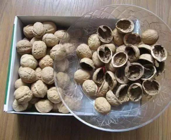 东西|这12种天天往出扔的东西居然是个宝，感觉自己扔了一个亿万万没想到