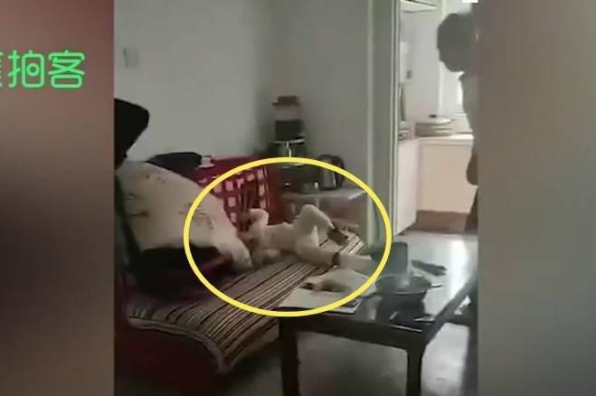 男子|男子酒后摔打两岁半幼子被刑拘 娃最后也没抢救过来