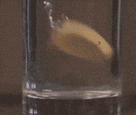 红枣|保温杯突然爆炸，女孩眼球破裂！只因泡了这个忘记喝......