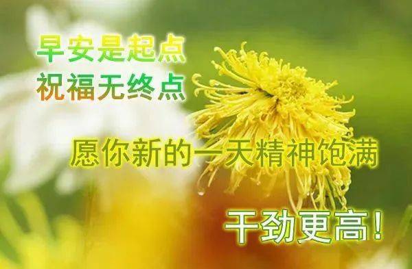 16ea8d4445c34b56861bd5bd3cfc8e83.jpeg