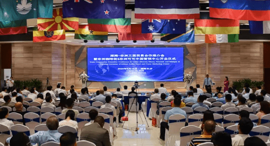 疫情|非洲观察丨疫情防控常态化 中非经贸合作亮点频现