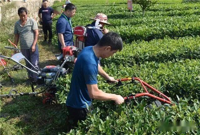 安化贫困人口_贫困山区的孩子图片