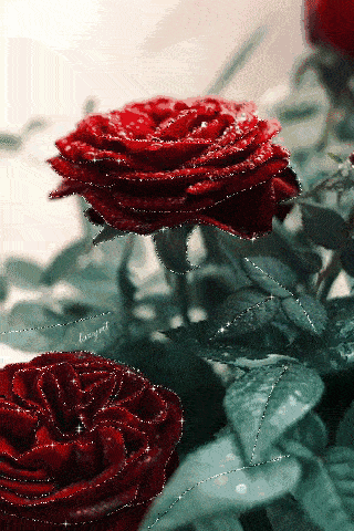 320_480 竖版 竖屏 