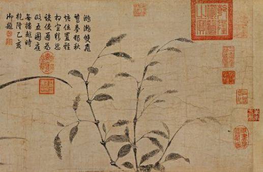 万金|处暑无三日，新凉直万金