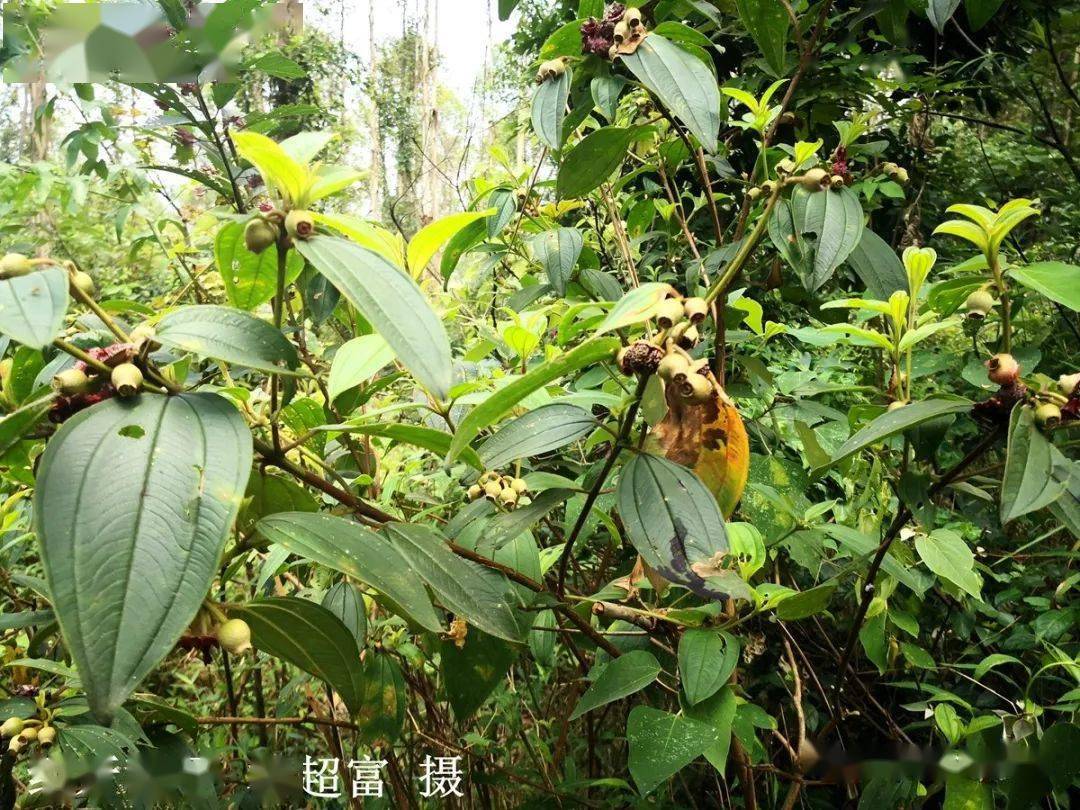 驴得水片尾曲曲谱