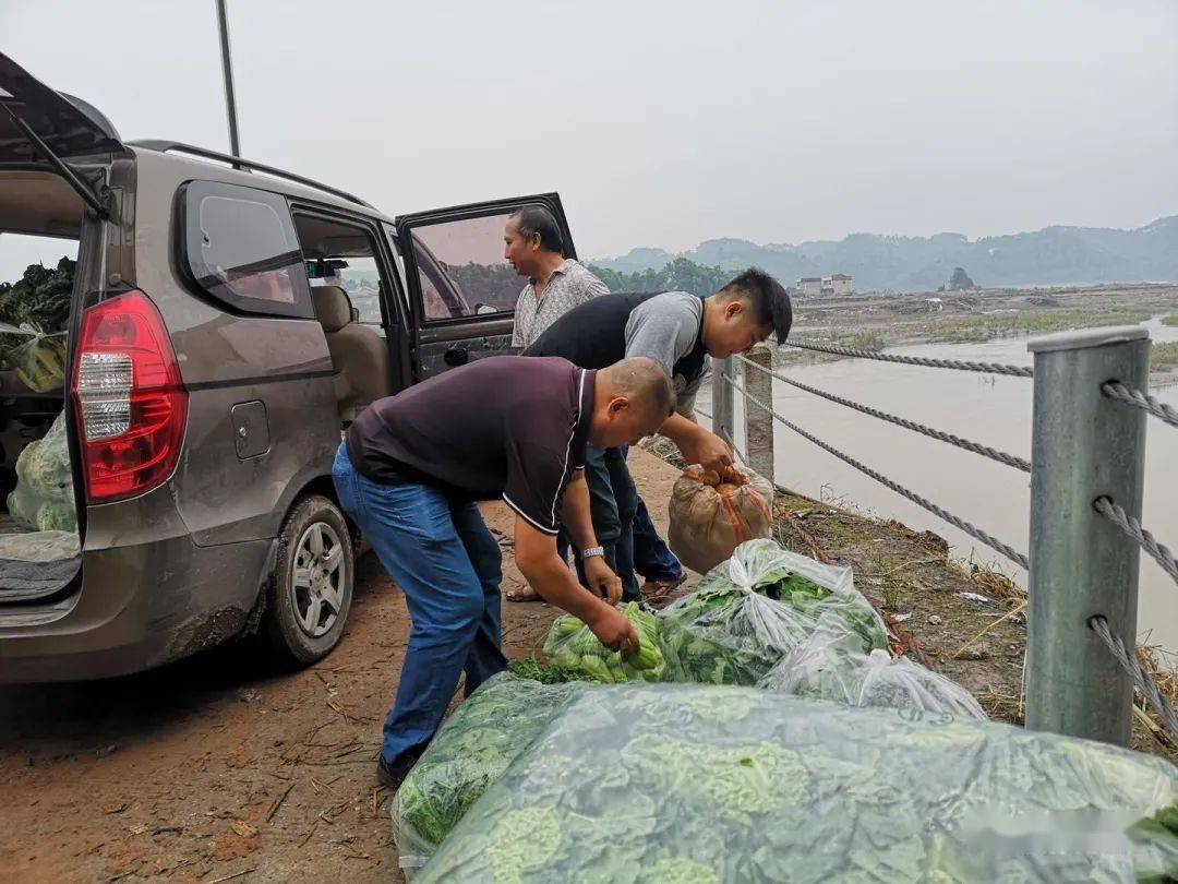 开云app官方网站下载-
点赞！宜宾三名大学生向泥溪捐赠1000斤新鲜蔬菜(图2)