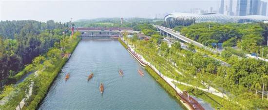 选手|2020年大沙河生态长廊龙舟邀请赛举行