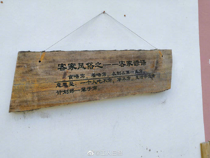 神山村|“村里有奔头了，年轻人都回来了”