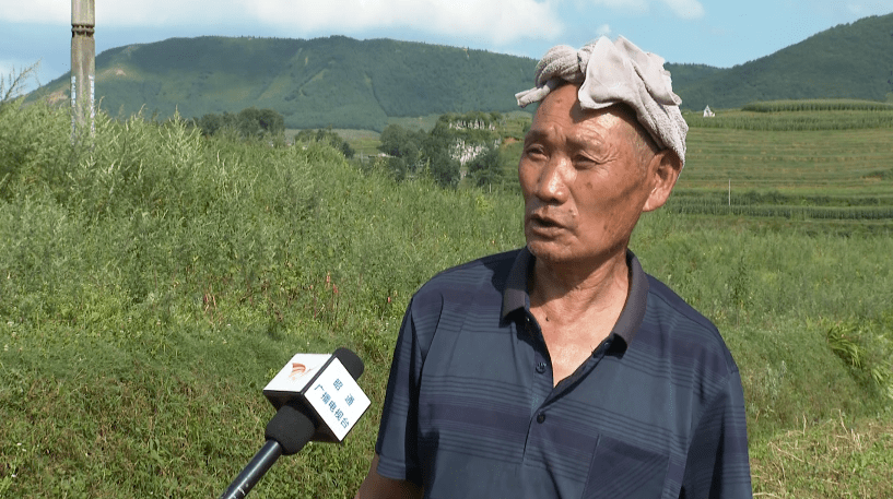 彝良树林乡:产业扶贫由"输血"向"造血"转变