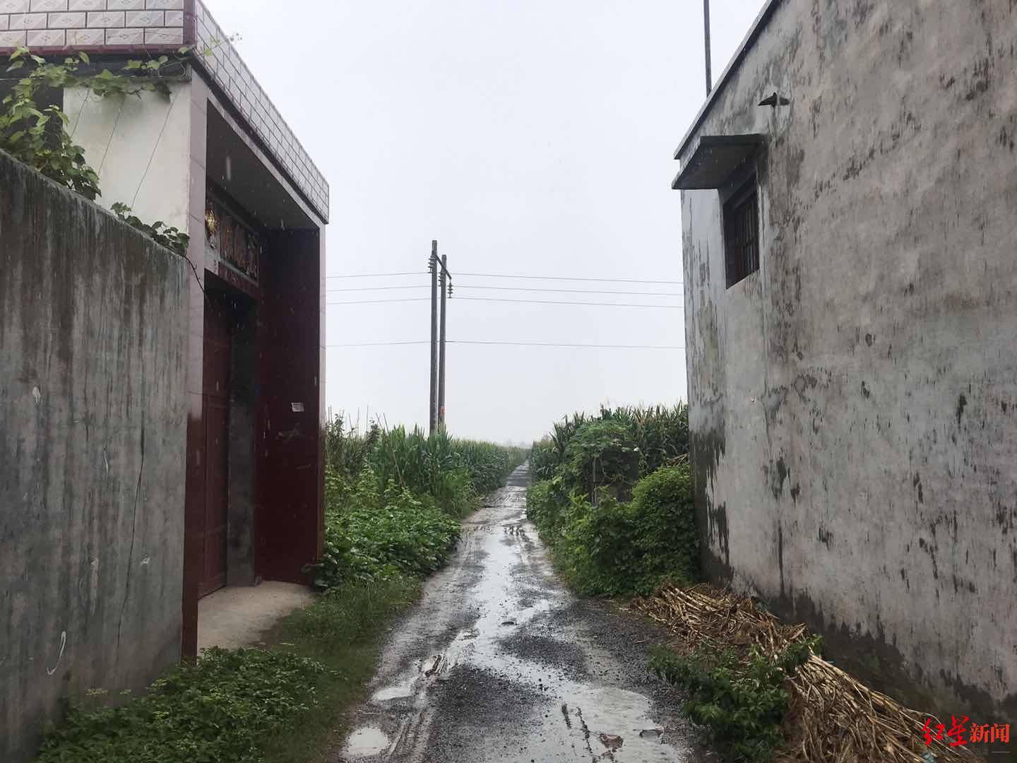 还原虞城命案细节:嫌犯两年前声称报复举报者