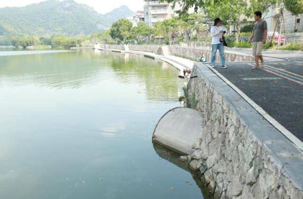 祖孙|祖孙俩先后溺水，缙云一男子出手相救，还牵出40年前的一段往事