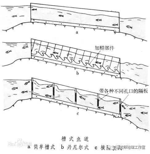 新微专题关于生态鱼道的知识拓展附生态价值专题设计