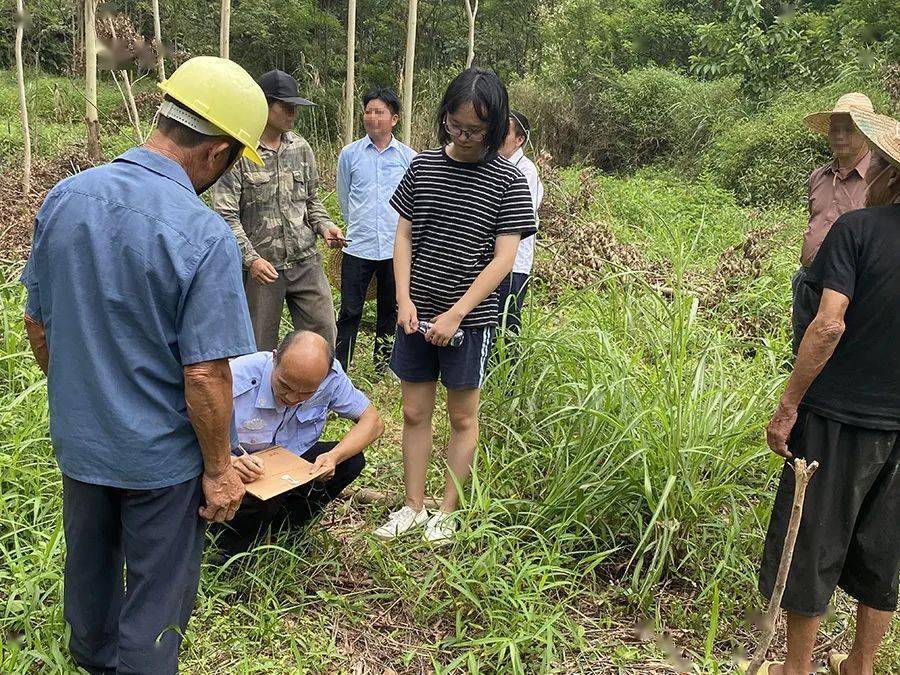 武鸣上林村民山林界线起纠纷人民调解来化解