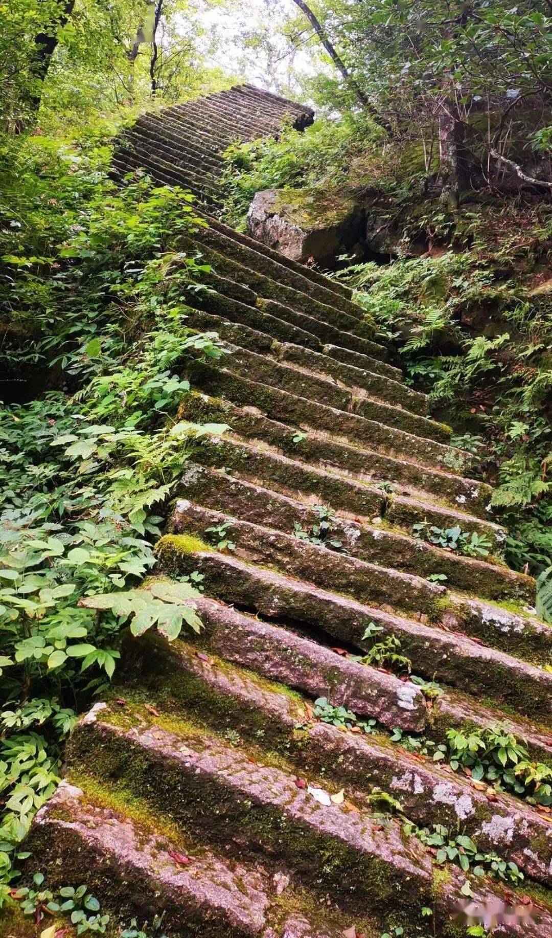 徽州古道10松谷古道黄山北蹬道其秀水堪称黄山之冠