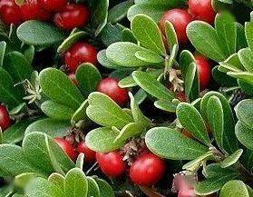 皮肤|白到发光的张雨绮性感冲出屏幕!这次成了“直女斩”