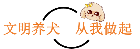 争当文明栾城人之做文明养犬人