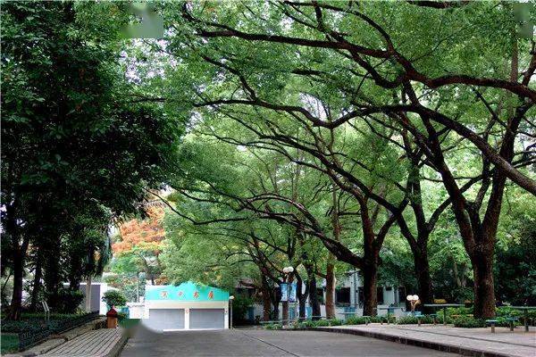 深圳市2020高中排名_超全!2020年深圳40所民办高中高优率、学费及住宿情