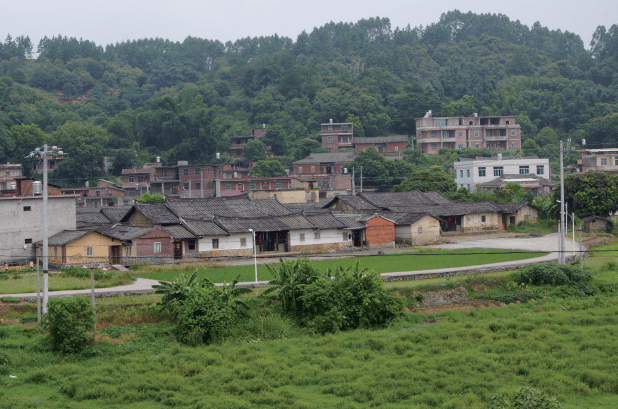 大庭村人口_大庭叶藏