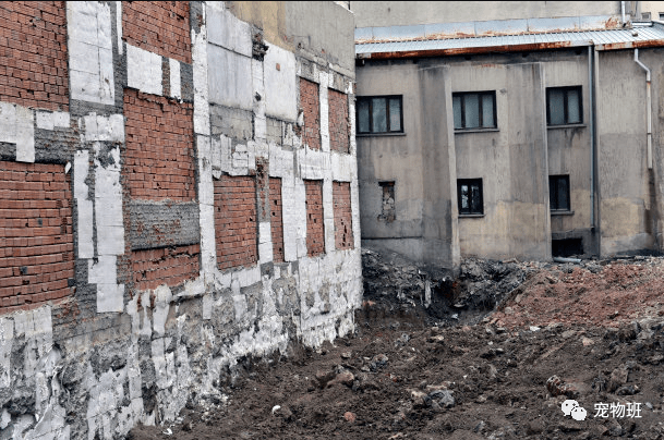 2020西咸新区上半年g_西咸新区陈默