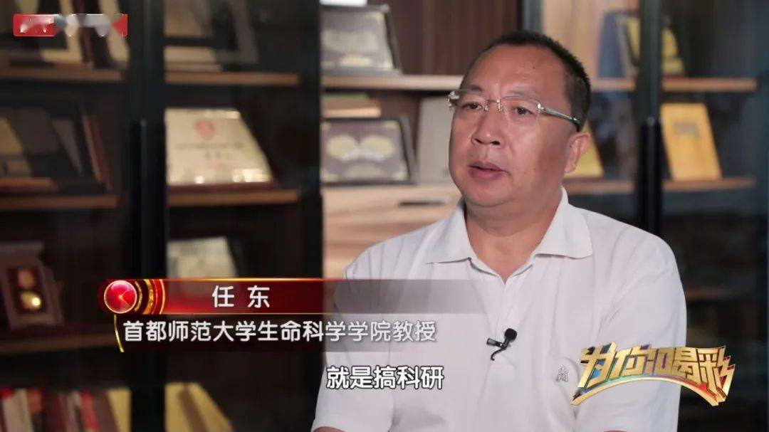 《为你喝彩》30余年昆虫学研究探险路 用化石探索远古世界的秘密_任东