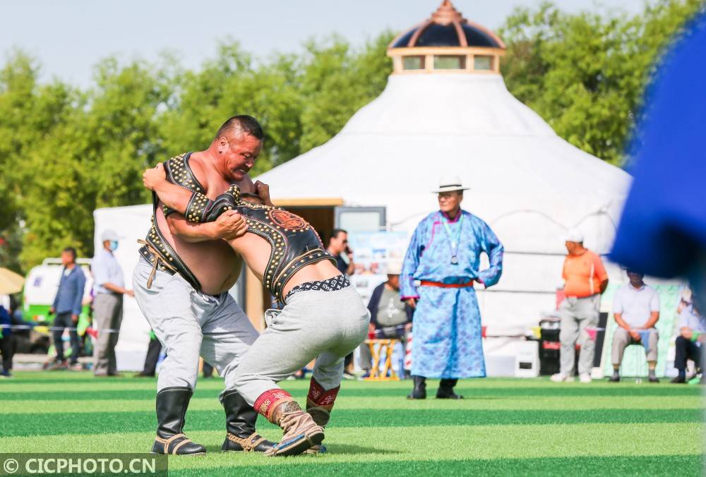 在内蒙古锡林郭勒盟正蓝旗,搏克手在搏克比赛中对决.