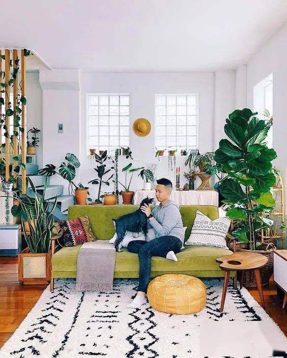 杂物间|别人家像个小森林，你家堆得像杂物间，她们是怎么做到的？