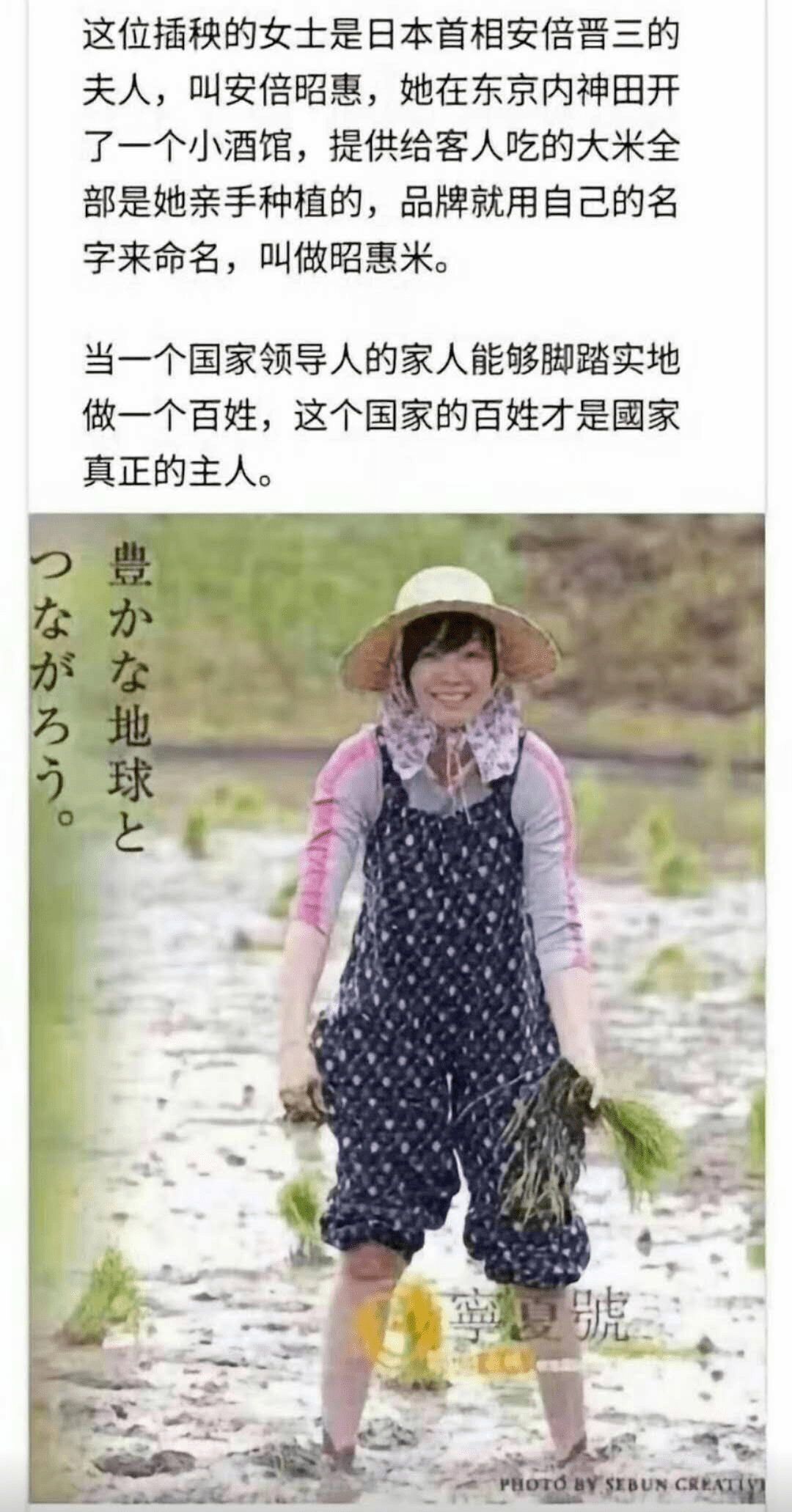 1a63d787ee7d4878a0172cf3d65a42ce.png