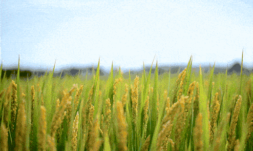 5d78302089524b02b7506850f9f3d5ff.gif