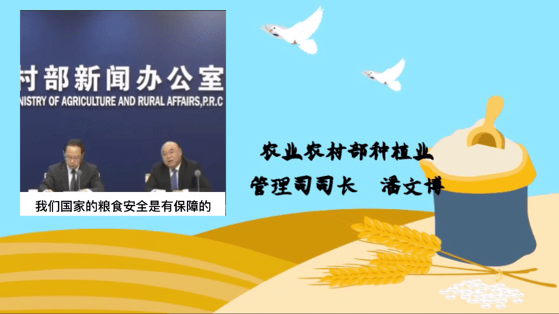 视频|【青声视语】数据辟谣国内“粮荒”论，网民：不心慌了！