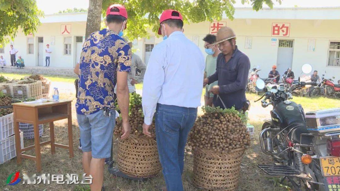 联饶镇下饶村人口_饶平县联饶镇地图