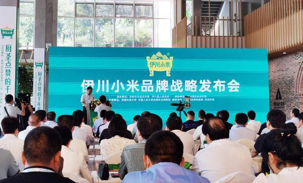 伊川|伊川：推出伊川小米品牌，打造中国富硒小米产业第一县