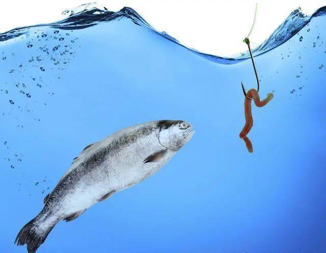 信号|你懂看漂抓口的技巧吗你次次空竿