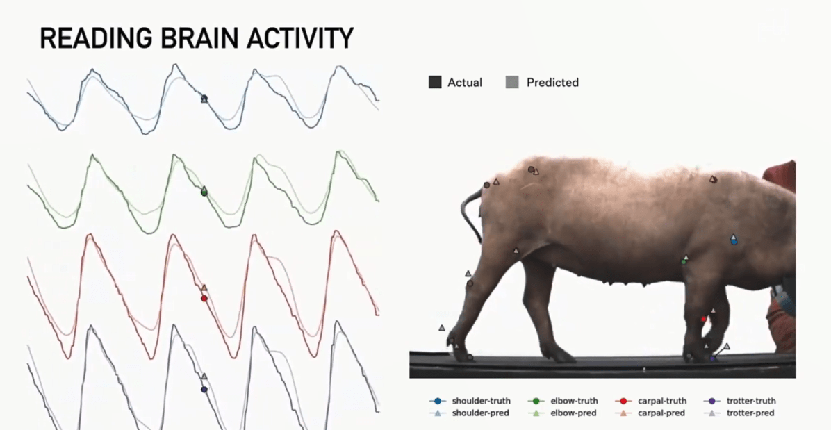 马斯克|电动车、可重复火箭之后，马斯克的脑机接口公司如何改变人类？