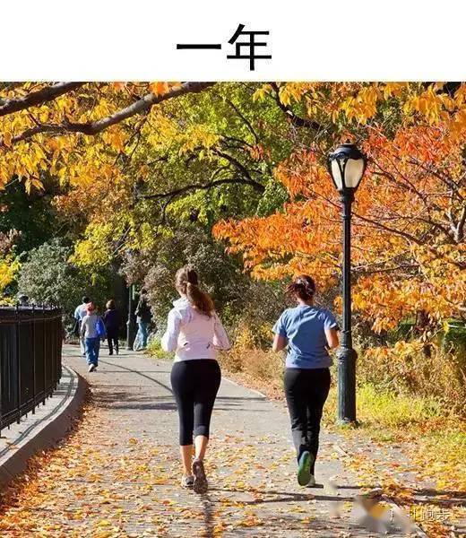 什么|跑步1年、跑步3年、跑步5年的人分别是什么样？