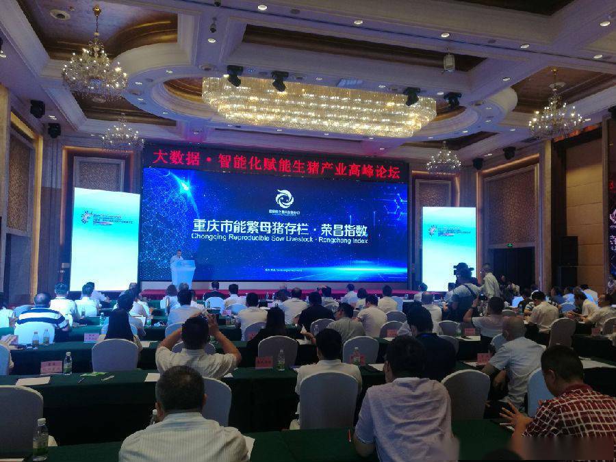 生猪|大数据“重庆市能繁母猪存栏·荣昌指数”对外发布