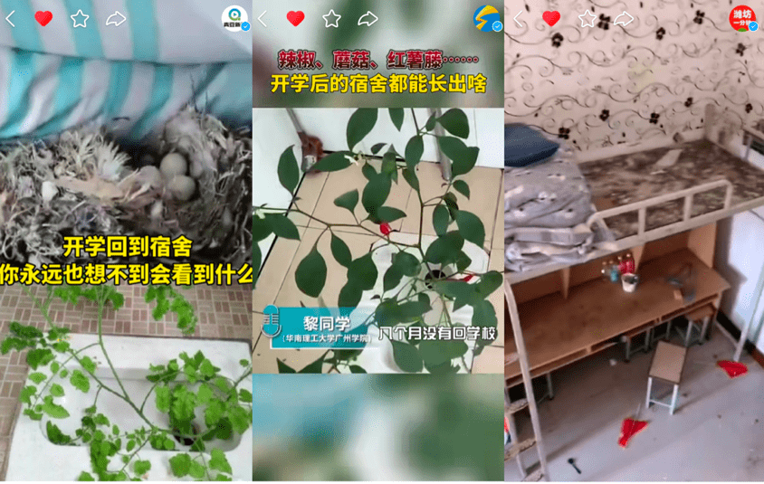 齐聚|幼儿组、少年组、青年组齐聚快手，看多样开学新姿态