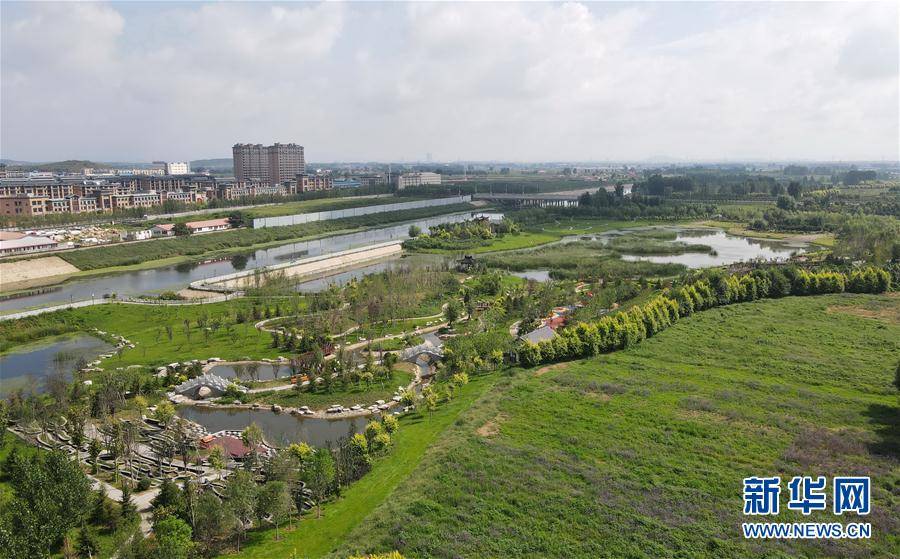 8月31日拍摄的秦皇岛市抚宁区洋河湿地公园景色(无人机照片).