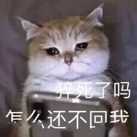 9a4fff901beb47718ccd4938c9965a81.jpeg