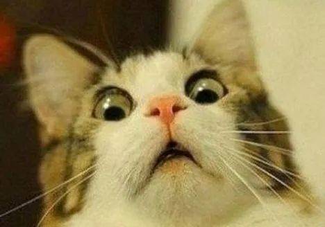 生肉|家人吓坏了惊呆！浙江一男孩屡次半夜偷吃生肉