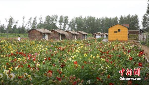 兴安盟|【幸福花开新边疆】产业、生态、教育：兴安盟的脱贫三部曲