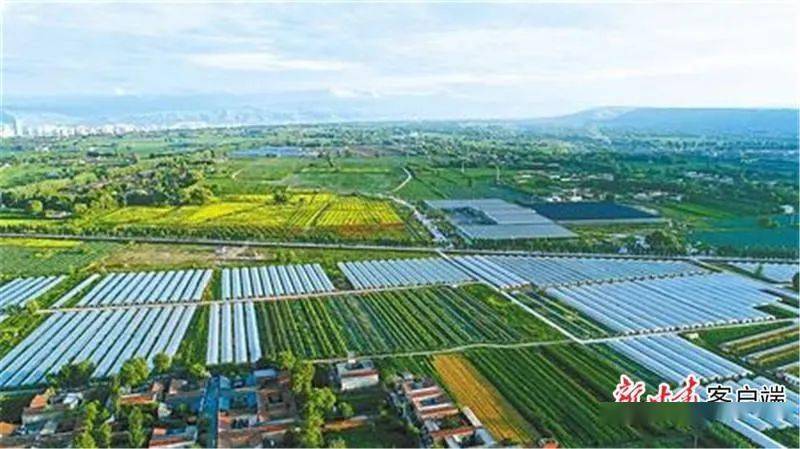 位于临夏县的临夏国家农业科技园区全景.临夏县委宣传部供图