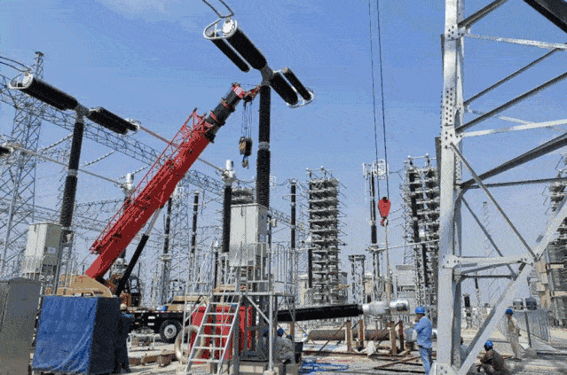 这件事外国专家说中国人10年也干不来结果亮了