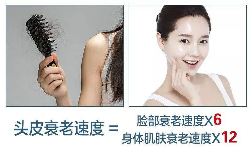 从头发到头皮衰老的大信号,别等脱发出来才抗老!