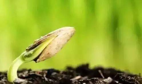 残留|纸巾居然还可以做这些？小纸巾大用途！