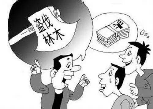 什么情况判3年可以缓刑 7f50455978944ec09552c9e16399b5cd.jpeg
