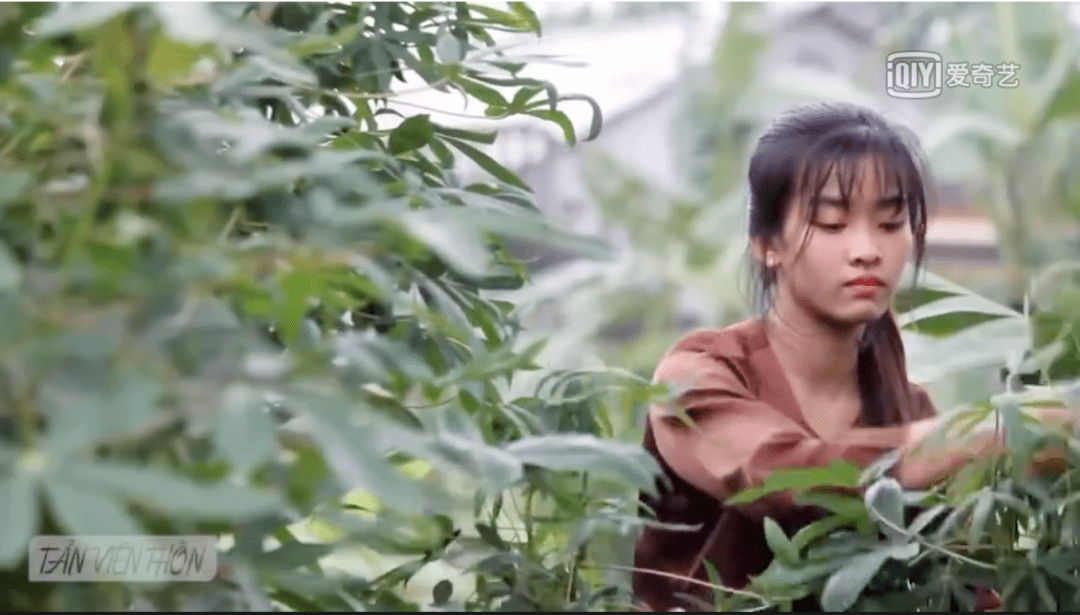 打开越南互联网，我觉得自己是个假中国人