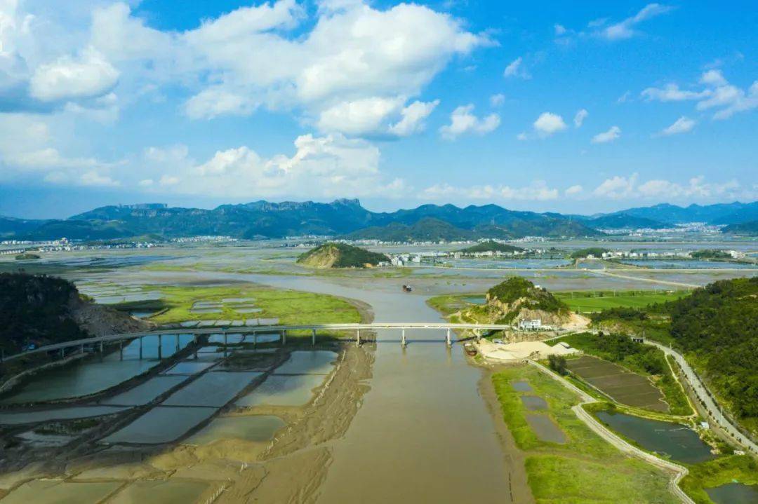 雁荡镇西门岛的码头海鲜馆里,起大早完成了当天海鲜收购任务的胡立新