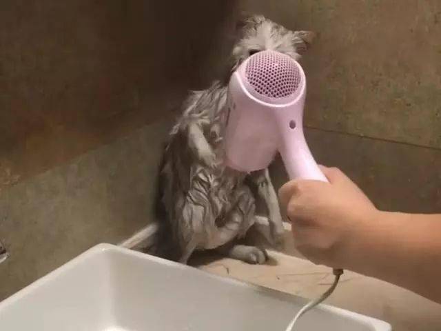 ab392883f2a94b8c8a786c828f6f73b2.jpeg